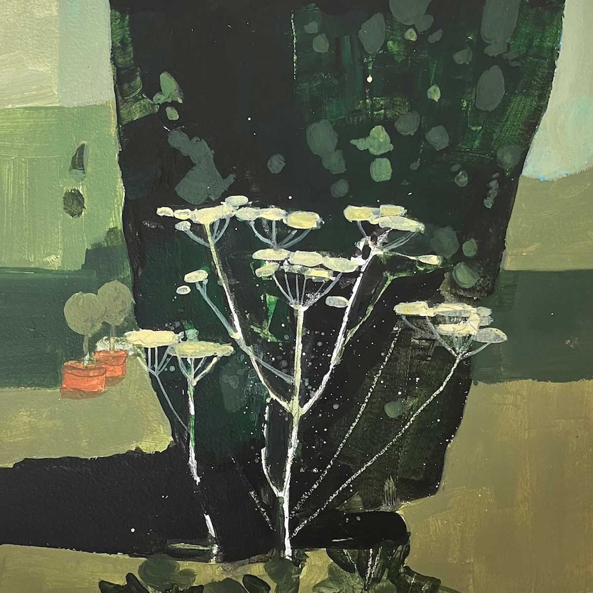 Cow Parsley and fir tree 28.7.24 By Julian Sutherland-Beatson