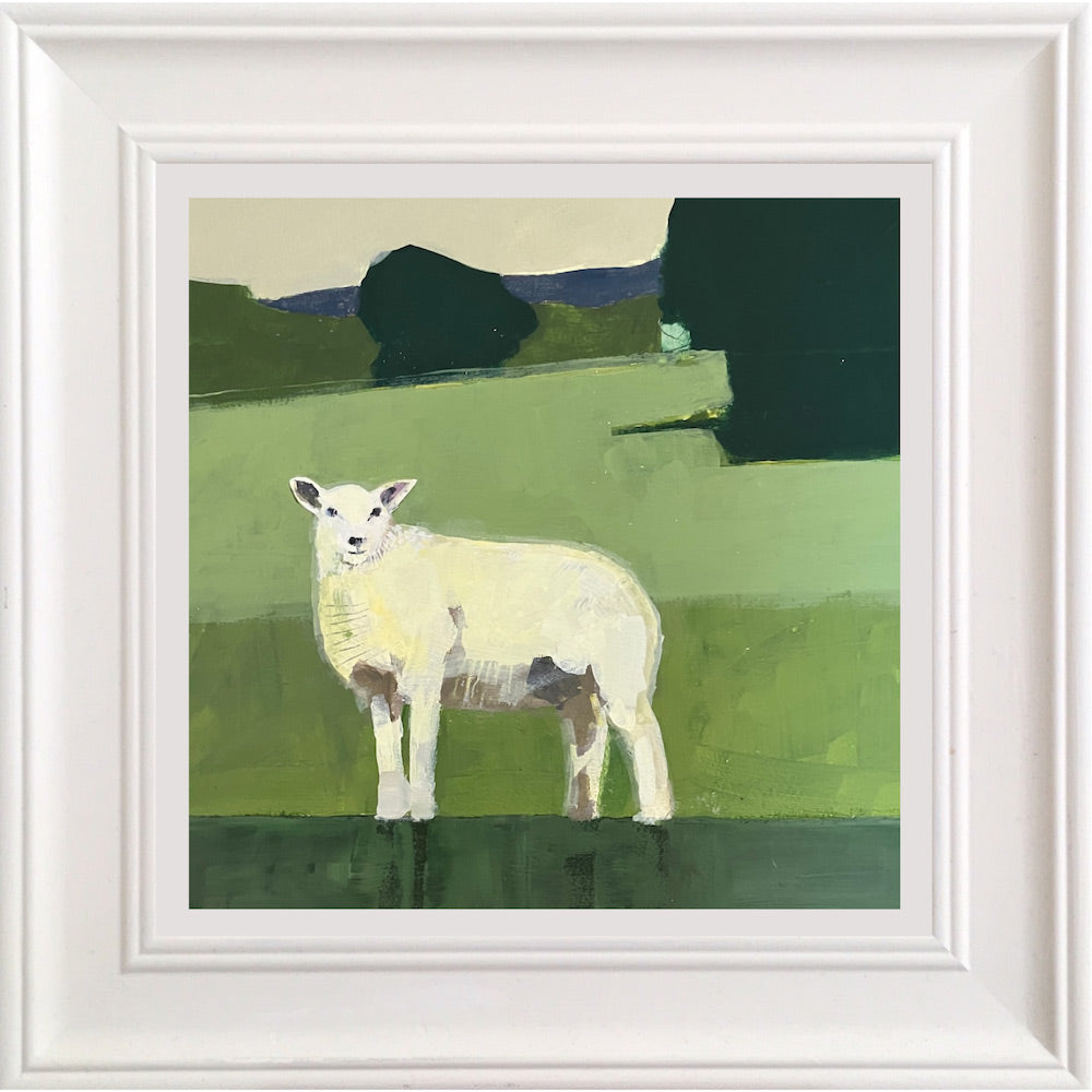 Lone sheep with downland beyond By Julian Sutherland-Beatson