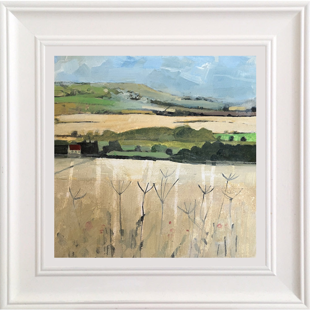 Downland near Glyndebourne with Cow Parsley 19.8.25 By Julian Sutherland-Beatson