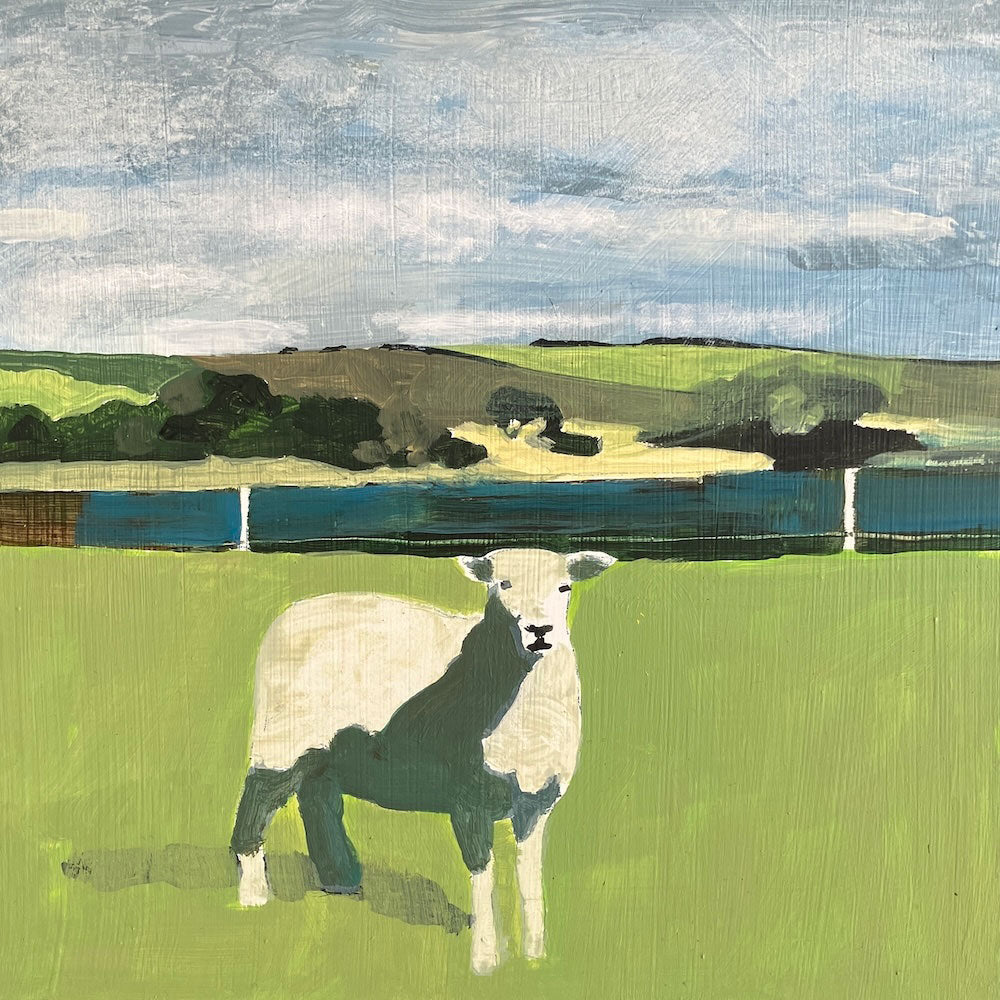 Lone sheep at Cuckmere Haven