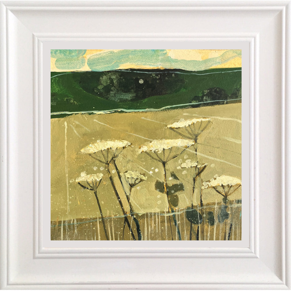 Cow Parsley and Downs near Glyndebourne 4.8.25 By Julian Sutherland-Beatson