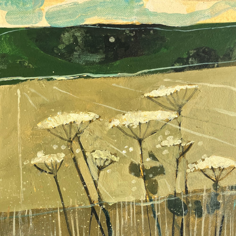 Cow Parsley and Downs near Glyndebourne 4.8.25 By Julian Sutherland-Beatson