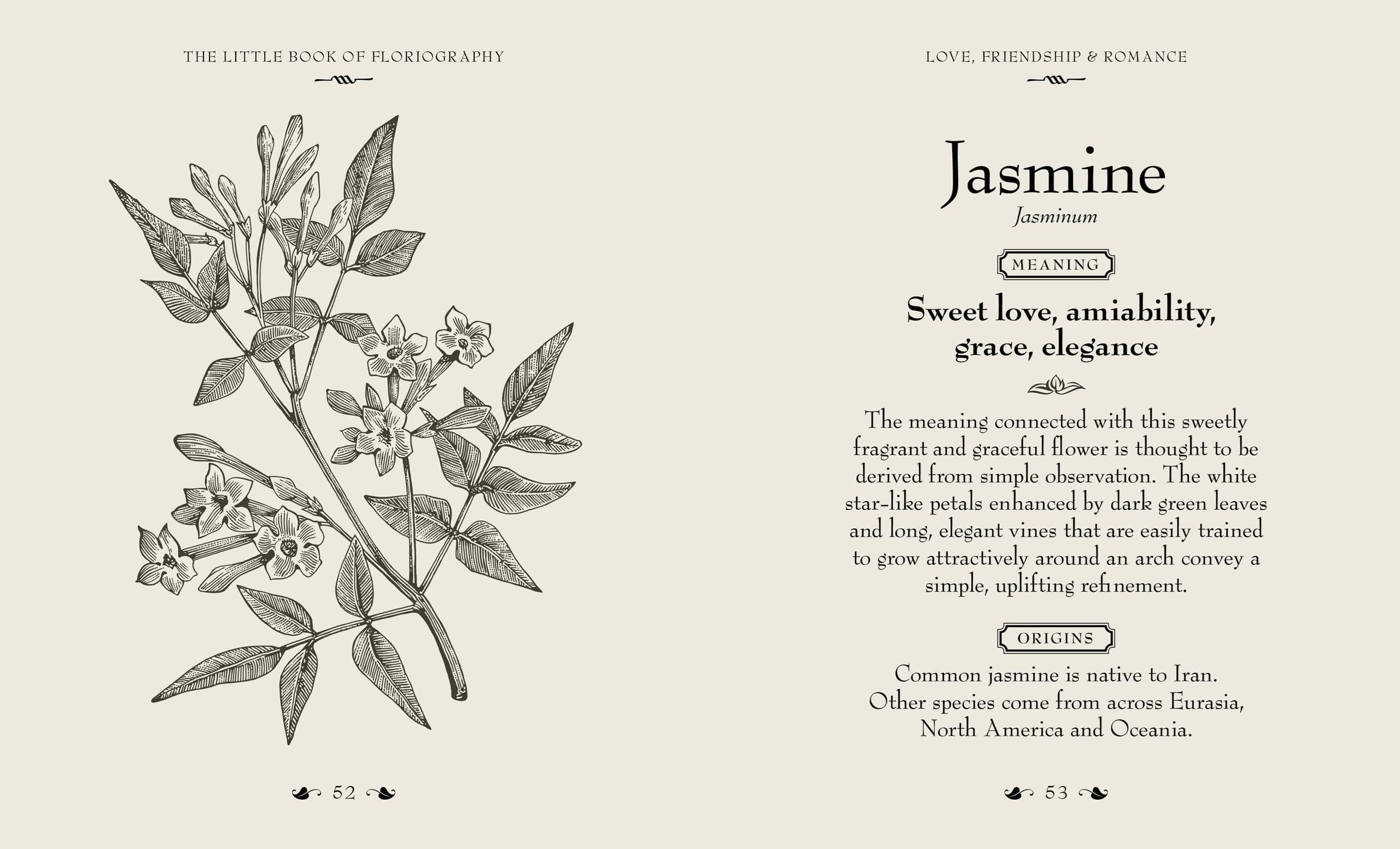 Book of Floriography By Orange Hippo