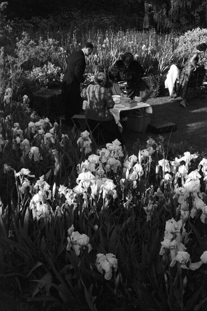 Audiences picnicking at Glyndebourne, 1958 Glyndebourne Shop