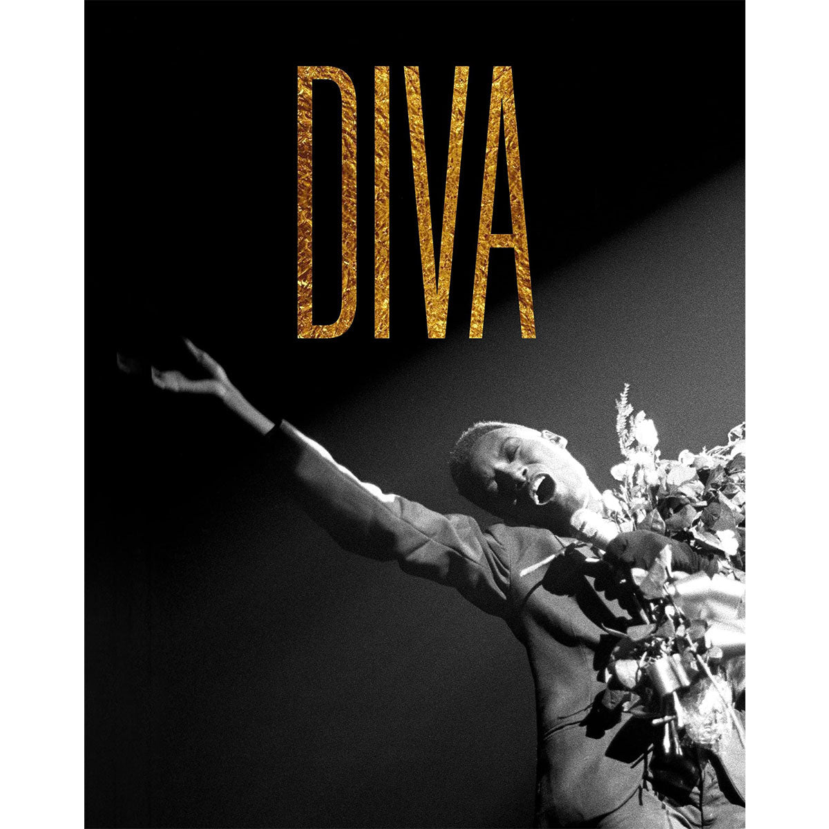 Diva by Kate Bailey