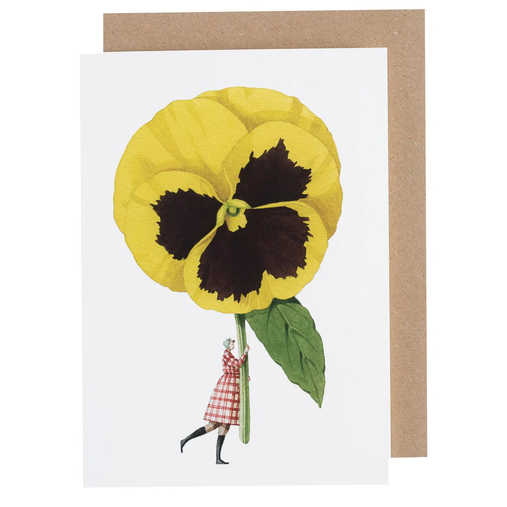 Pansy Greetings Card