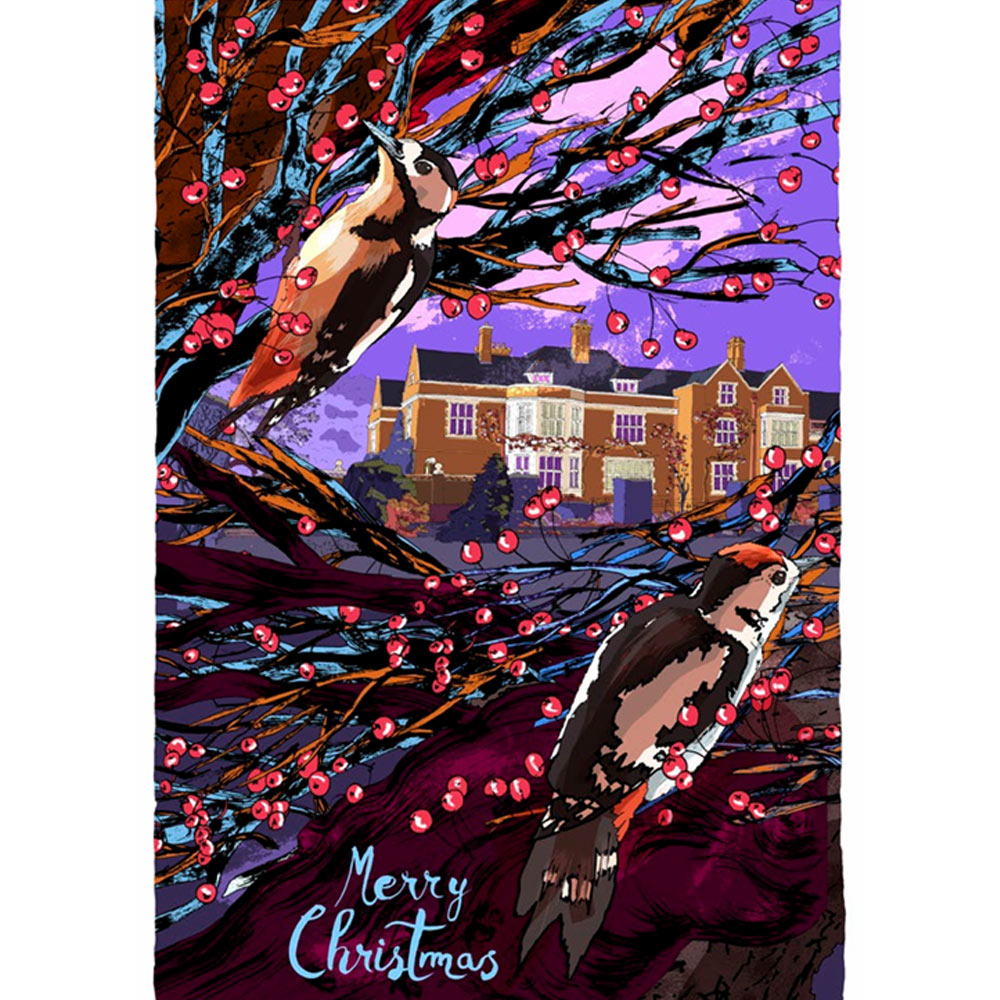 Glyndebourne Robins & Woodpeckers Christmas Card Pack 2026 by Ale Ez