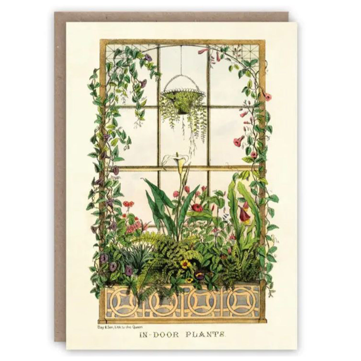 Indoor Plants Greetings Cards Glyndebourne Shop