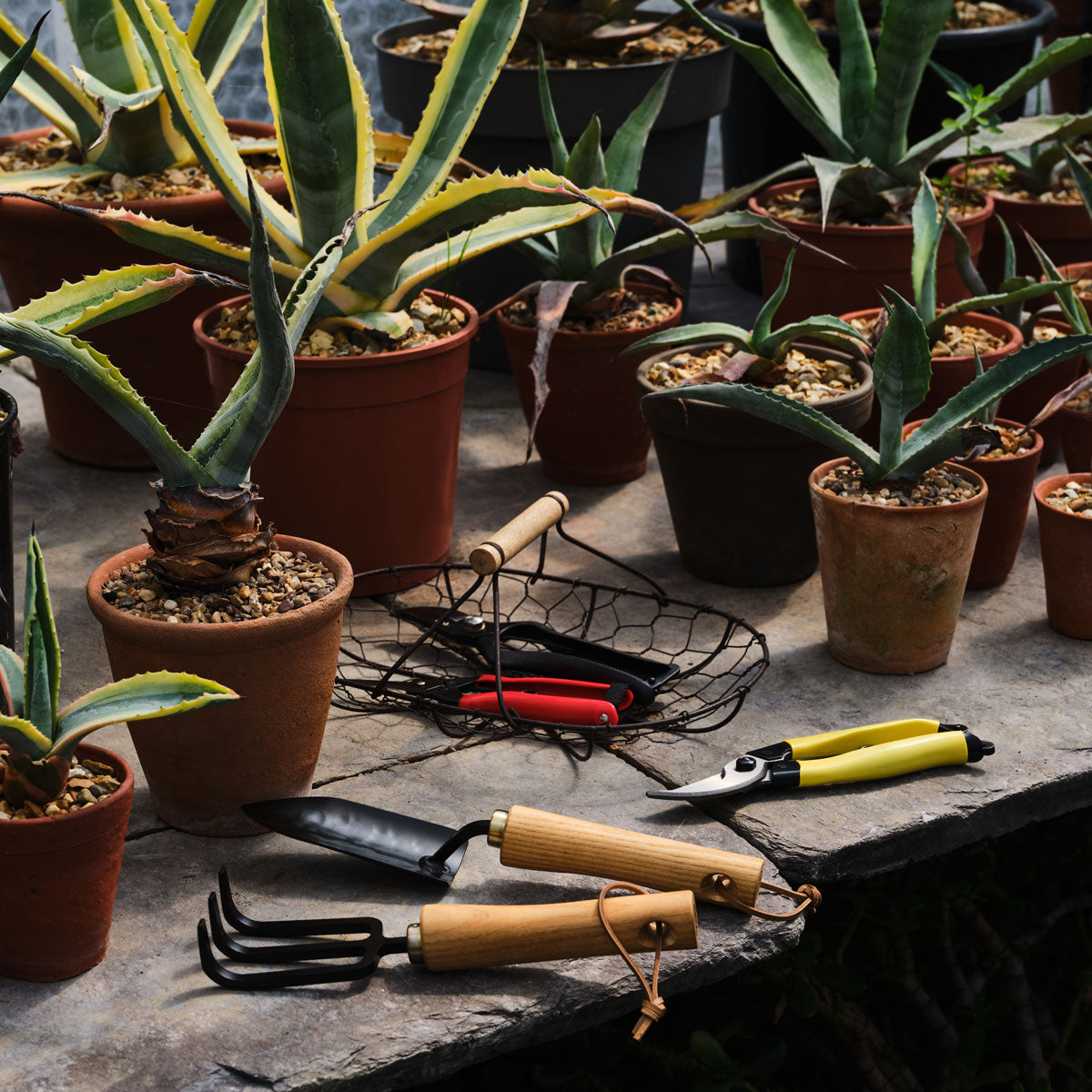 Niwaki Moku Cultivator Glyndebourne Shop