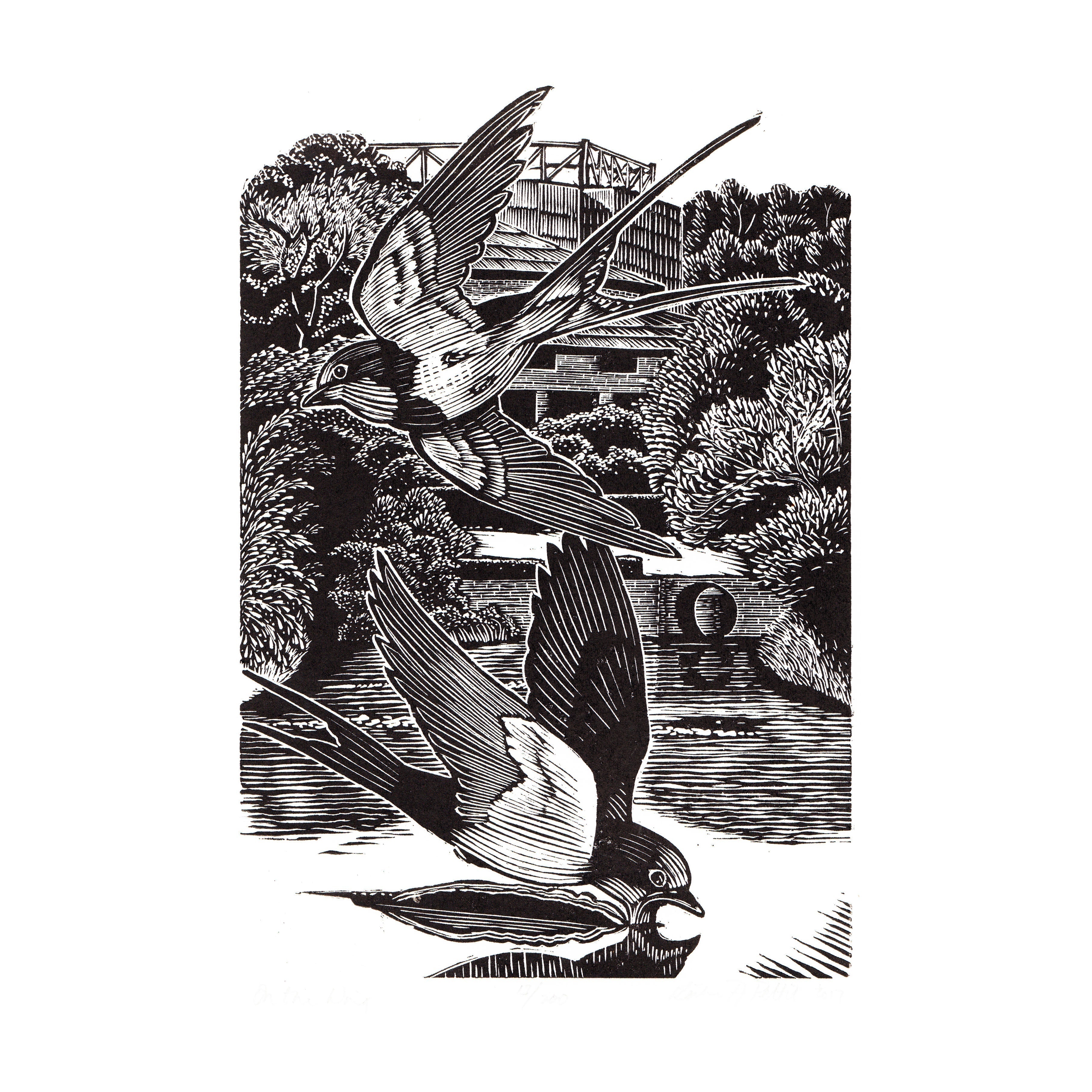 'On The Wings' Limited Edition Framed Wood Engraved Print by Keith A Pettit Glyndebourne Shop