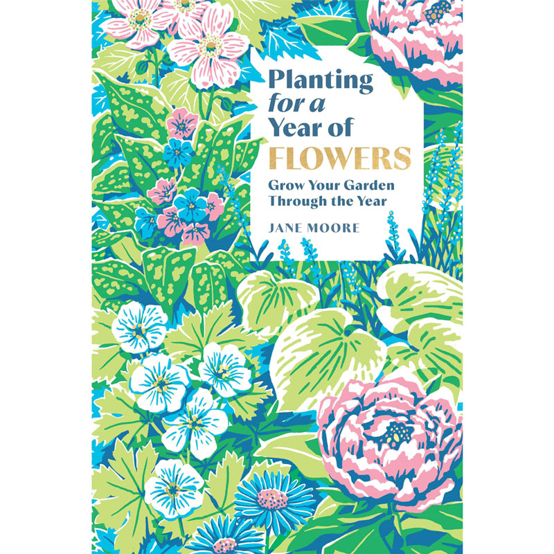 Planting for a year of Flowers By Jane Moore