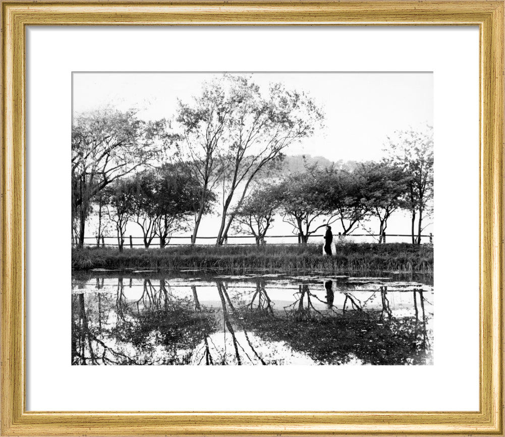 Reflections on the lake, Glyndebourne Glyndebourne Shop