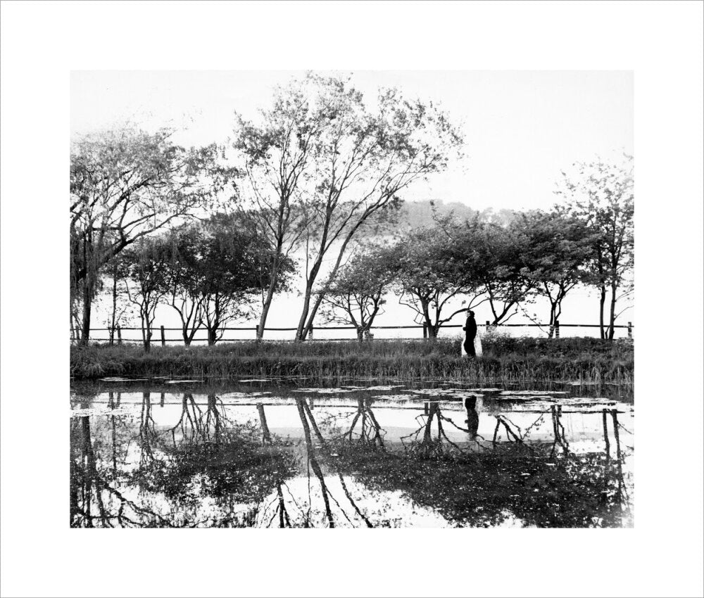 Reflections on the lake, Glyndebourne Glyndebourne Shop