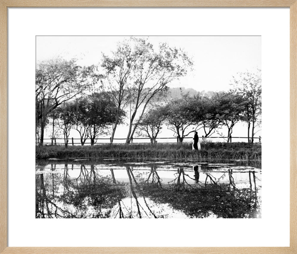 Reflections on the lake, Glyndebourne Glyndebourne Shop