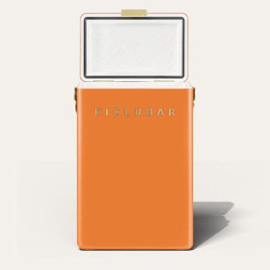 Orange Cooler Box