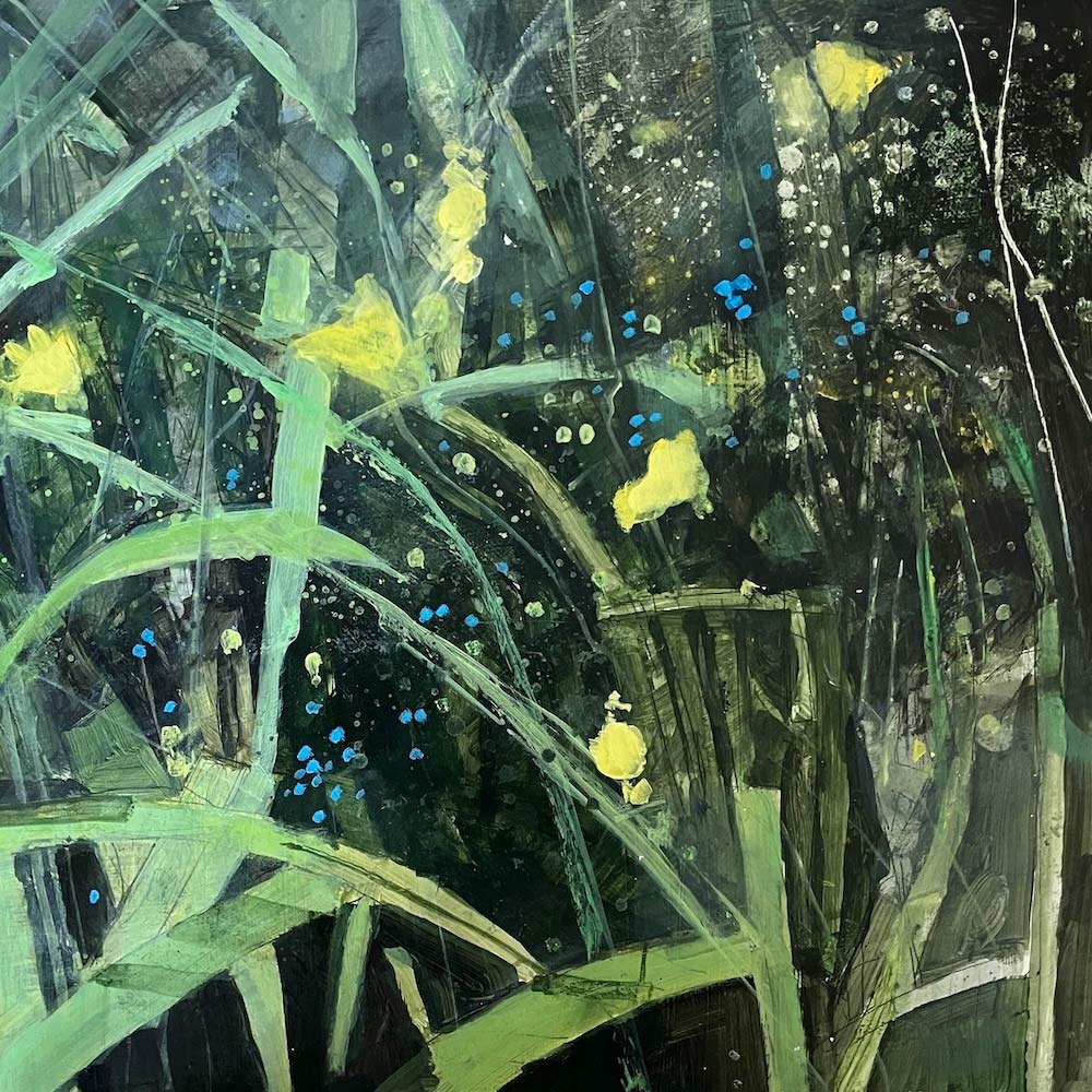 Spring undergrowth with daffodils By Julian Sutherland-Beatson