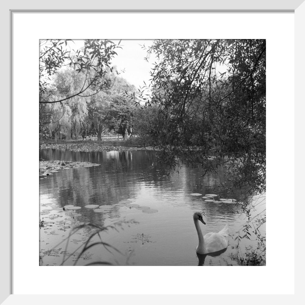 The lake, Glyndebourne, 1957 Glyndebourne Shop