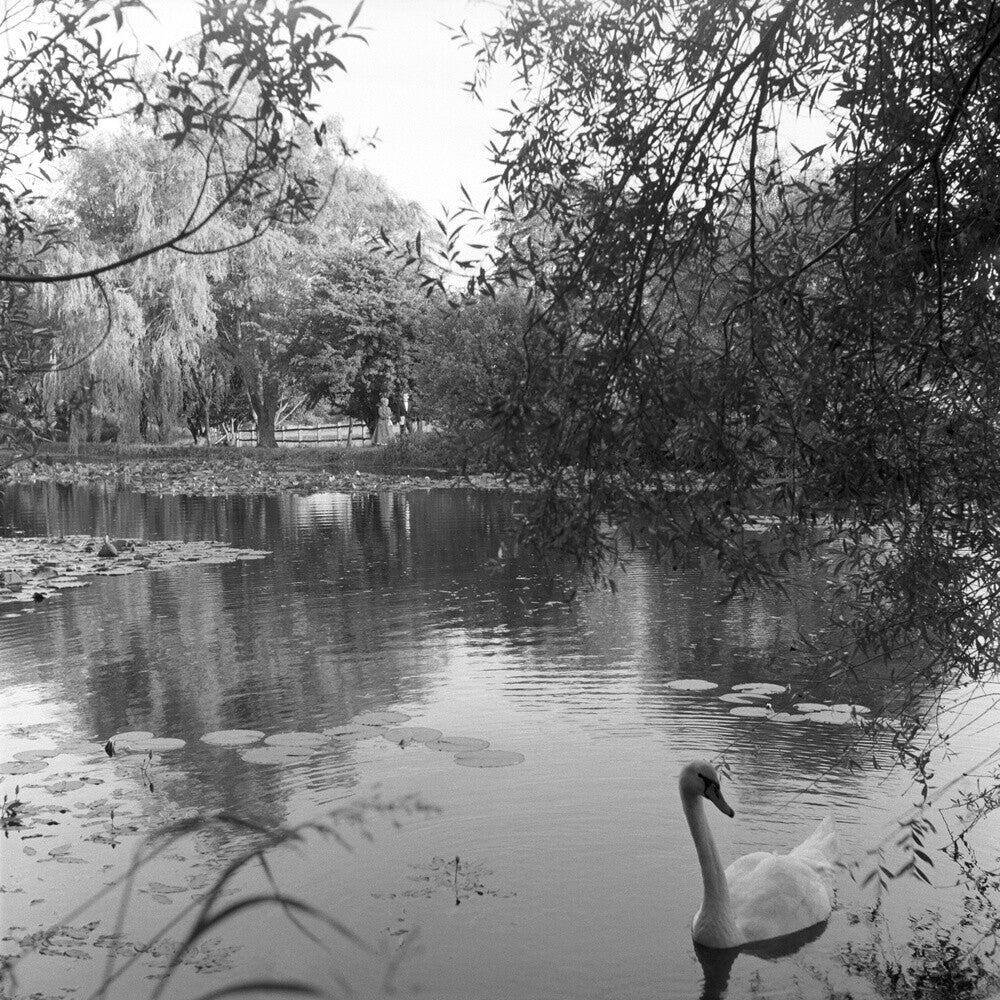 The lake, Glyndebourne, 1957 Glyndebourne Shop