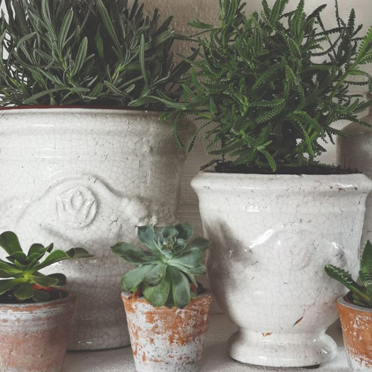 White Cracked Indoor Urn Planter