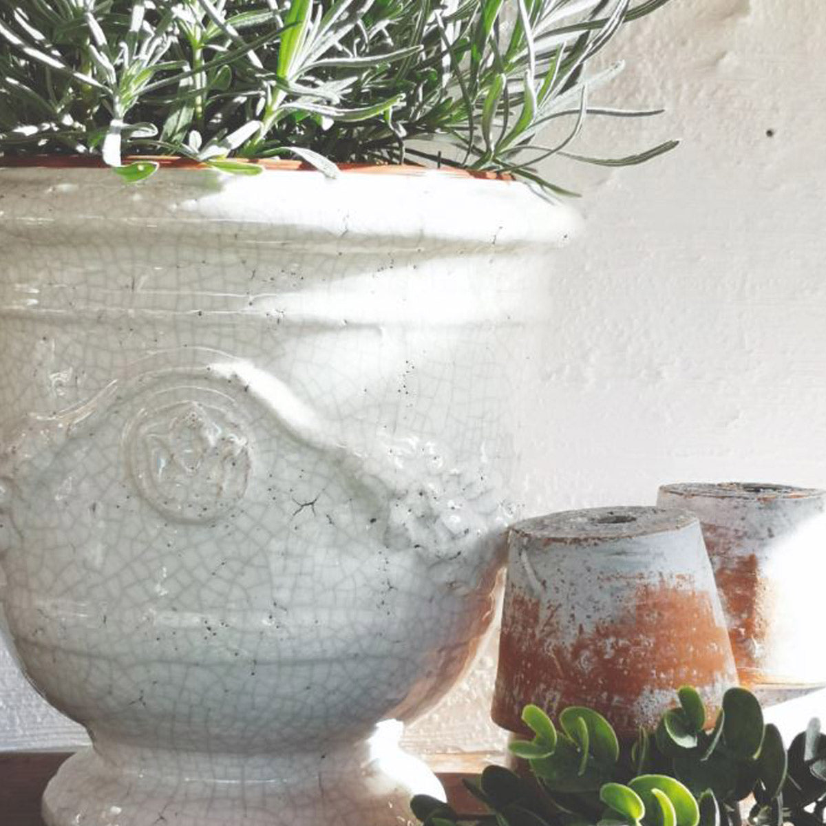 White Cracked Indoor Urn Planter
