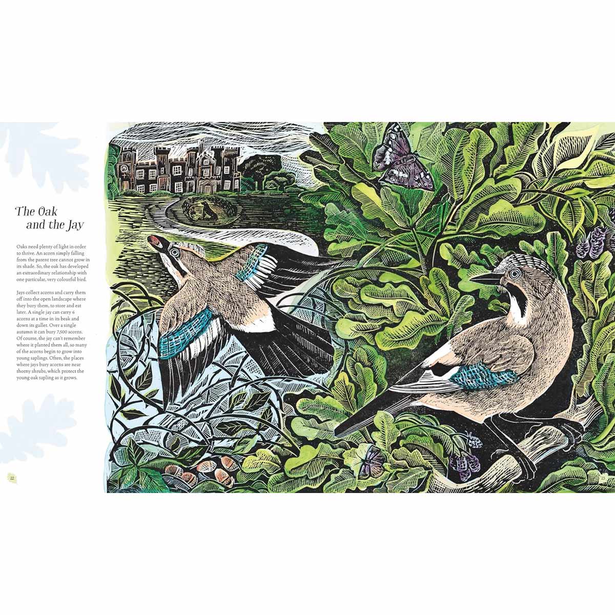 WILDING: HOW TO BRING WILDLIFE BACK By Isabella Tree & Angela Harding