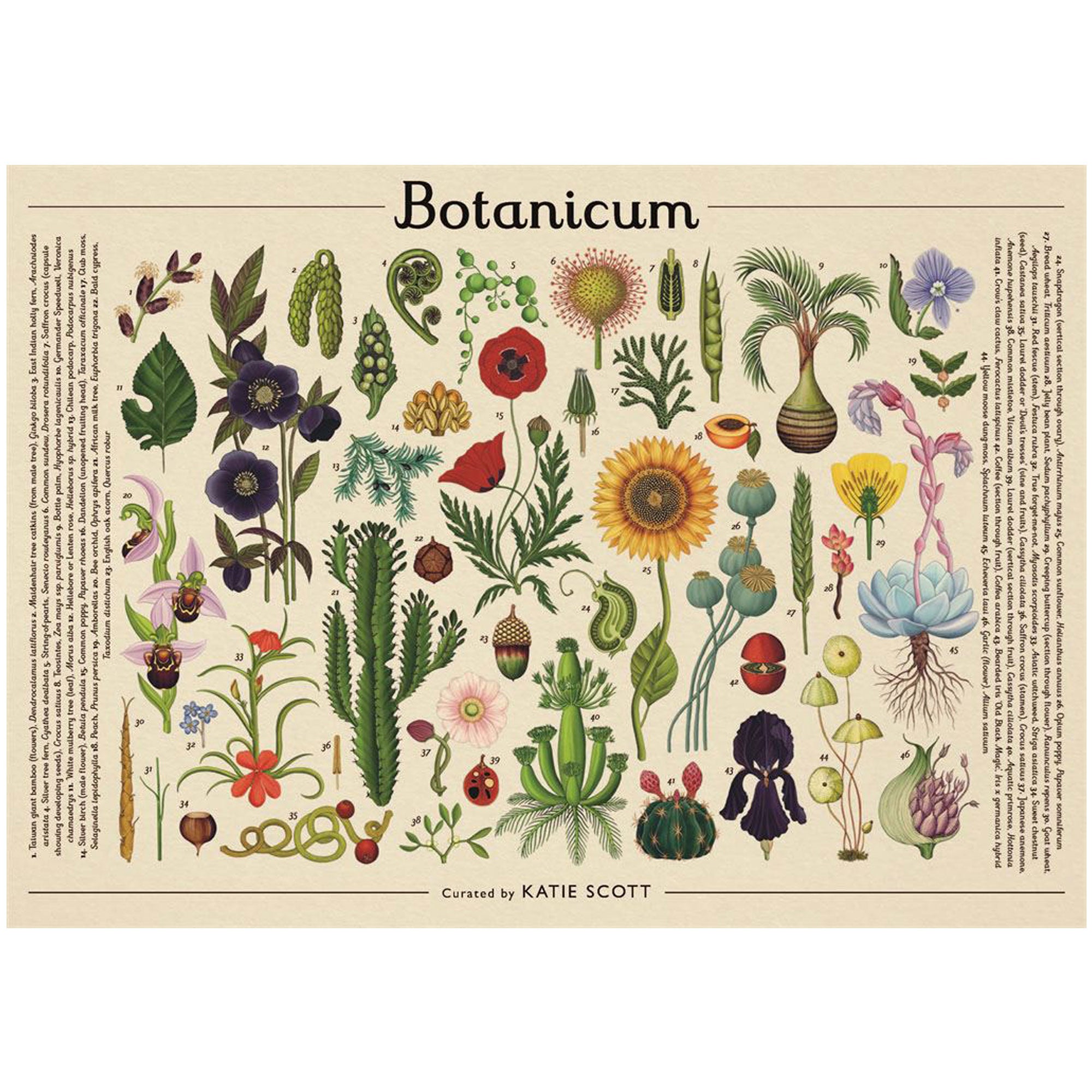 Botanicum 1000 Piece Jigsaw Puzzle