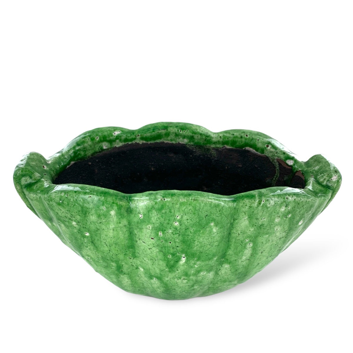 Green Shell Planter