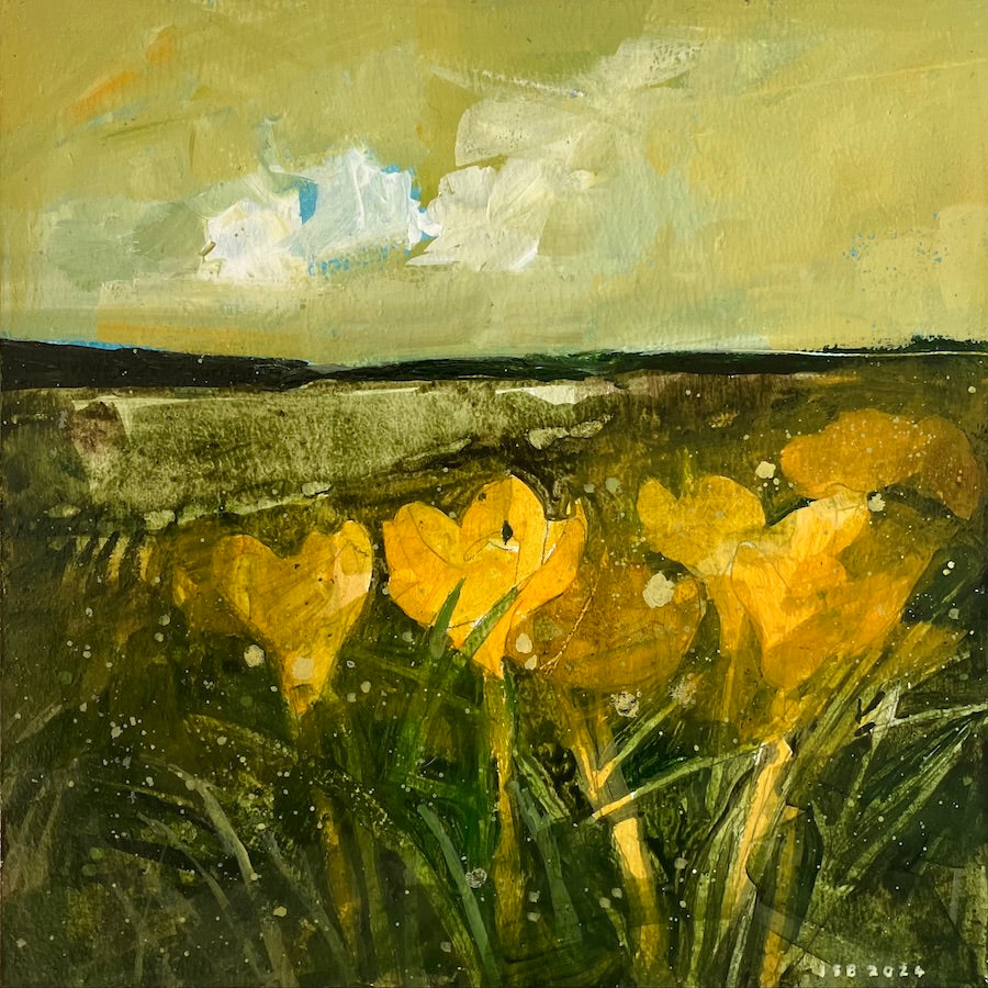 Crocuses by Julian Sutherland-Beatson