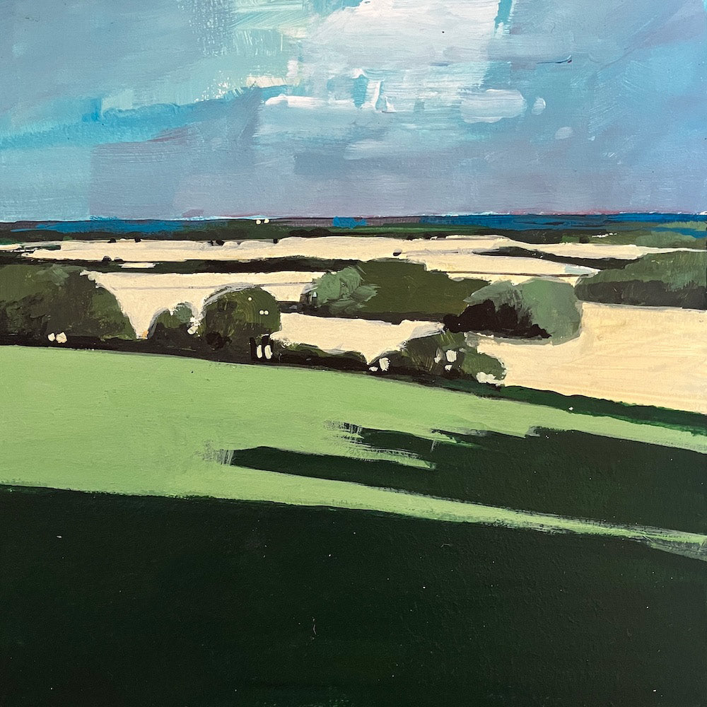 View from near Firle Beacon 13.6.26 By Julian Sutherland-Beatson