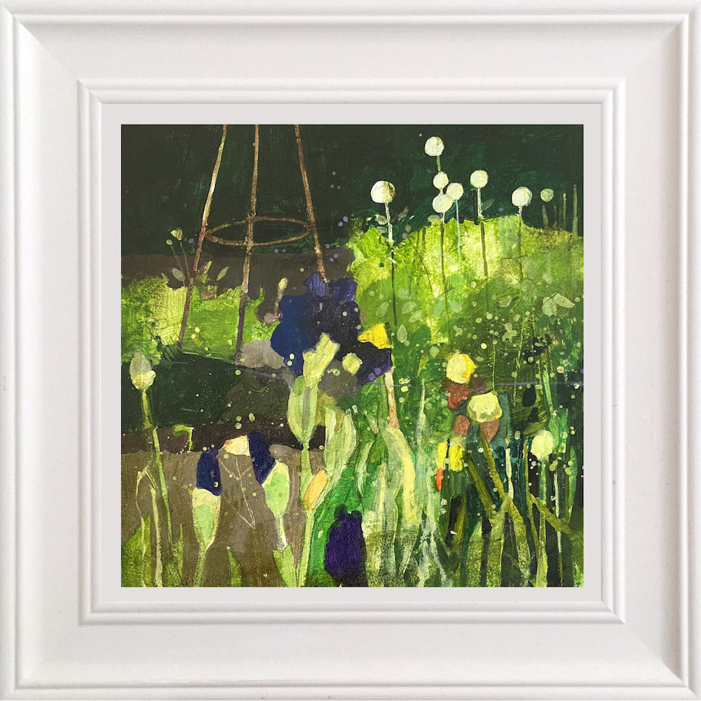 Flower border with alliums & irises 10.7.26 By Julian Sutherland-Beatson