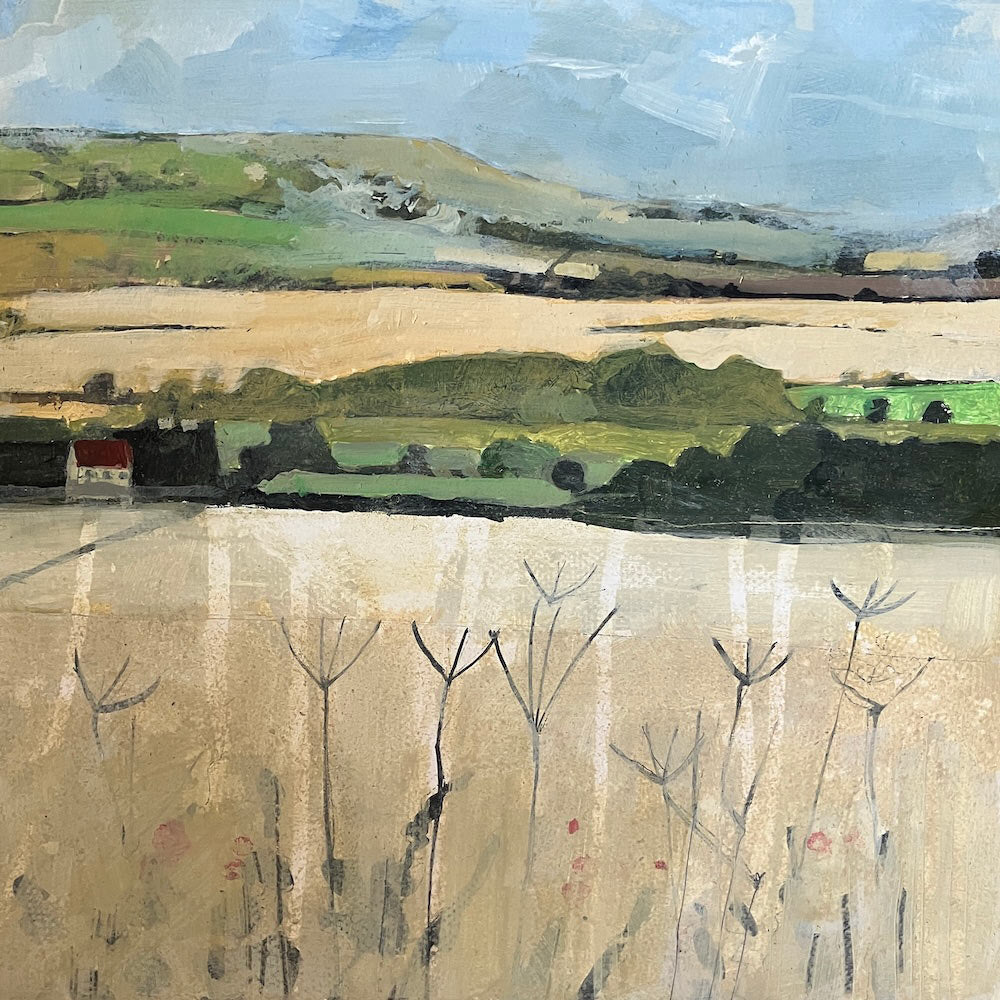 Downland near Glyndebourne with Cow Parsley 19.8.25 By Julian Sutherland-Beatson