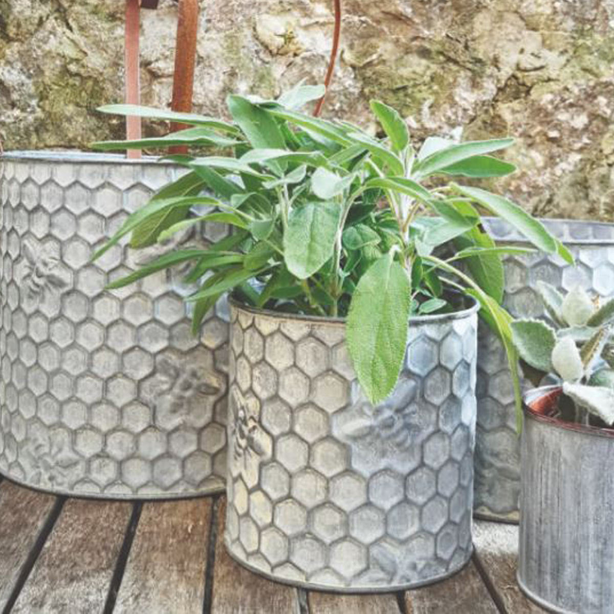 Bee Zinc Round Small Planter