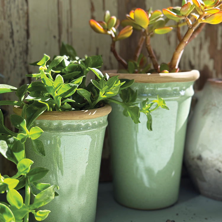 Green plant pots