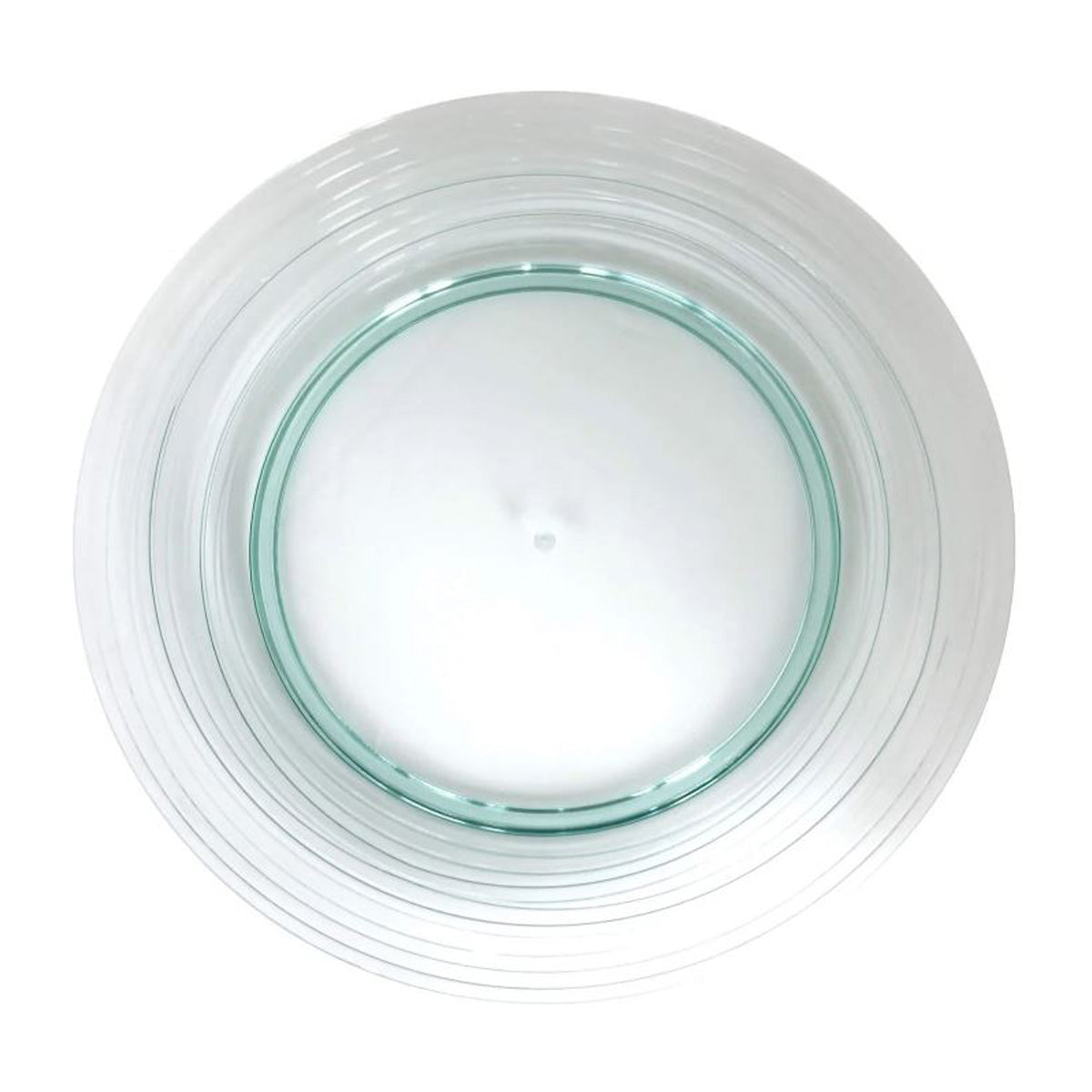 Clear Picnic Dinner Plate