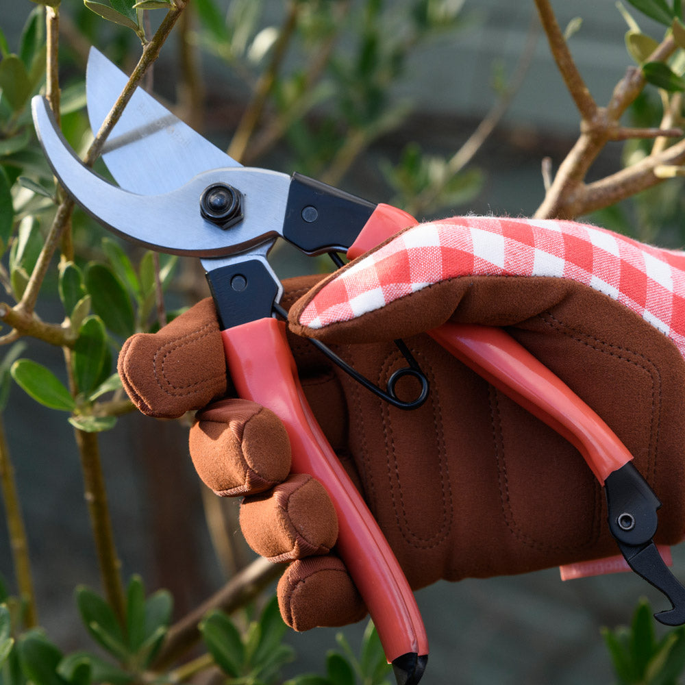 Red Gardening Secateurs