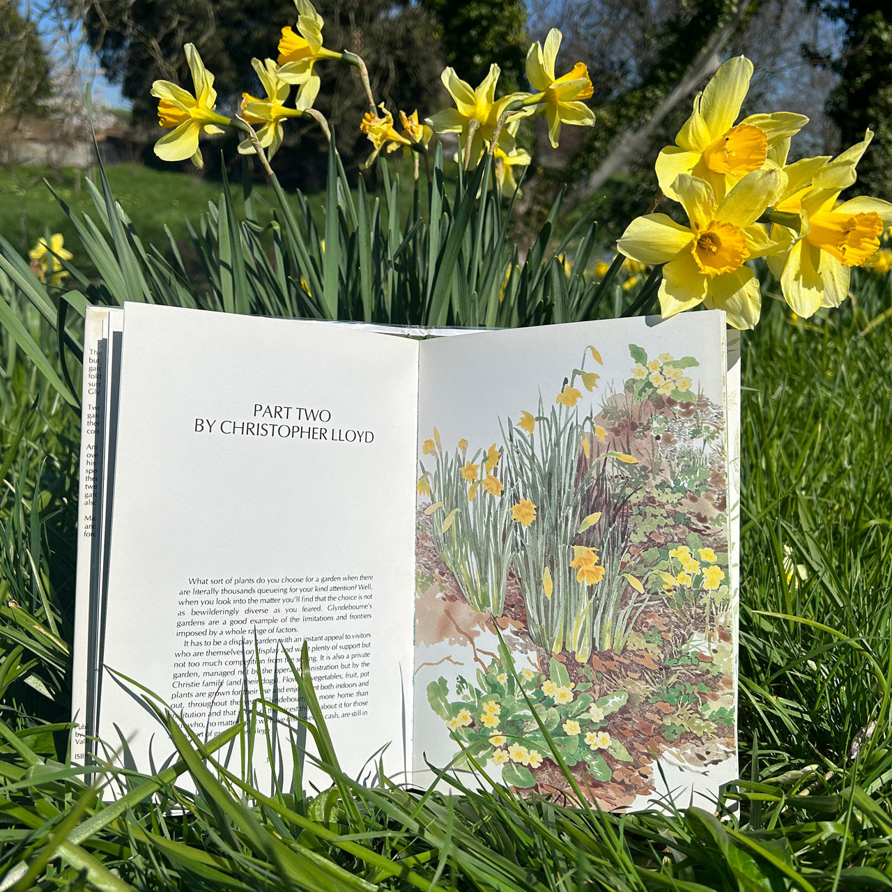Glyndebourne. The Gardens (Vintage 1st Edition) by Anne Scott-James and Christopher Lloyd Glyndebourne Shop