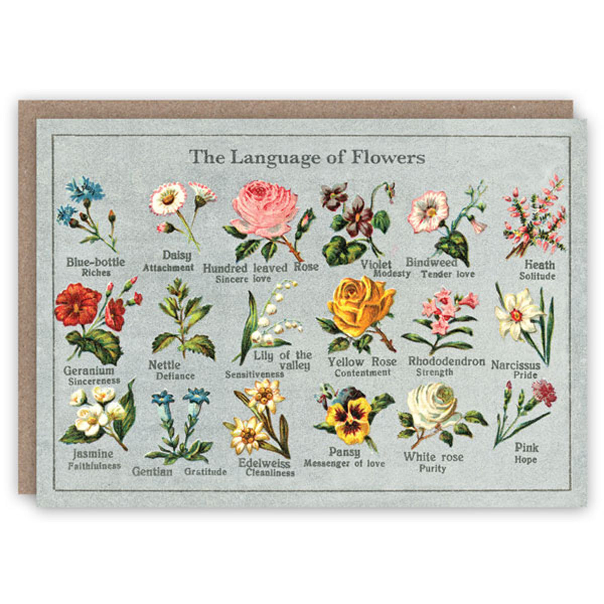 Language of Flowers Greetings Card Glyndebourne Shop