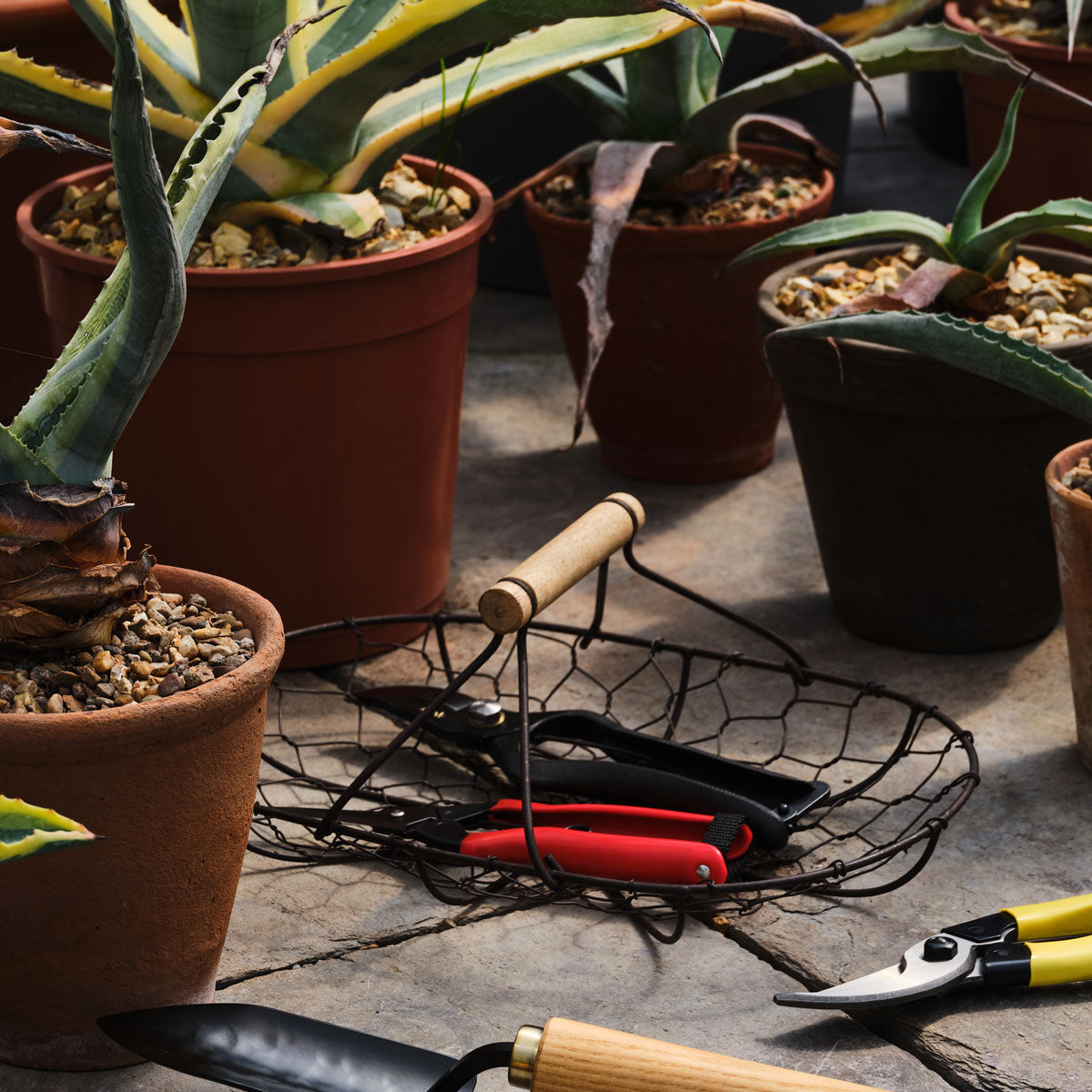 Niwaki Garden Snips Glyndebourne Shop