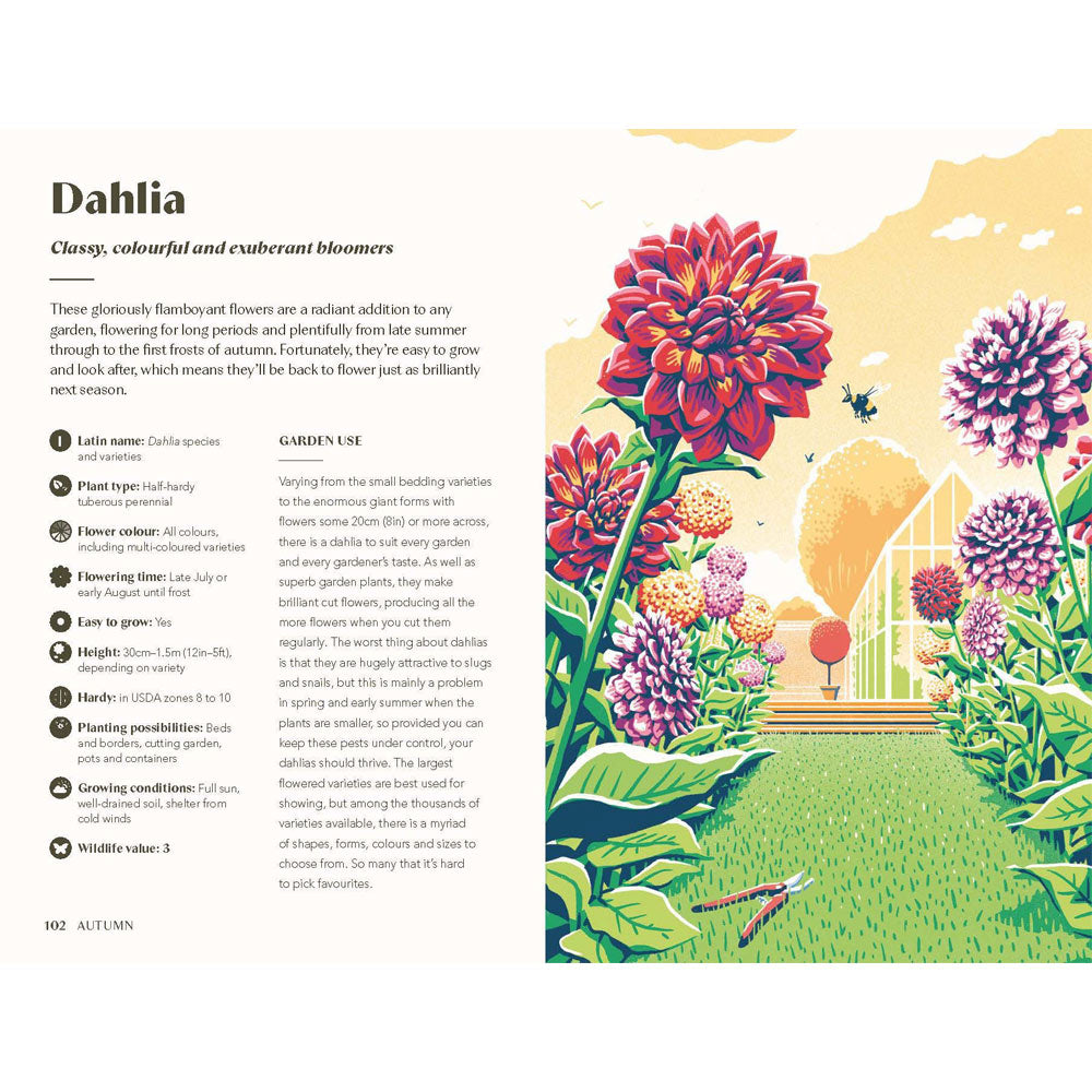 Planting for a year of Flowers By Jane Moore