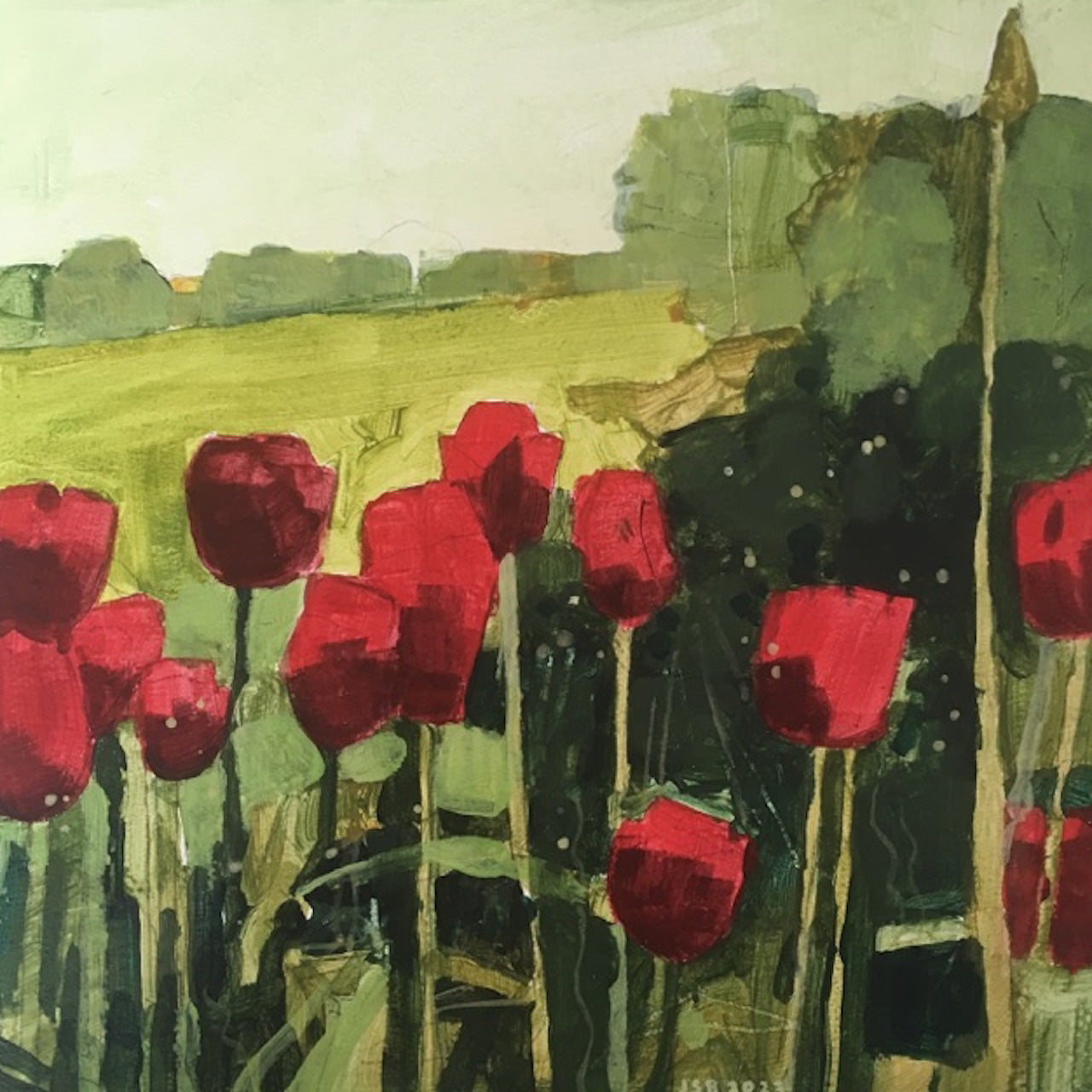 Red Tulips by Julian Sutherland-Beatson Glyndebourne Shop