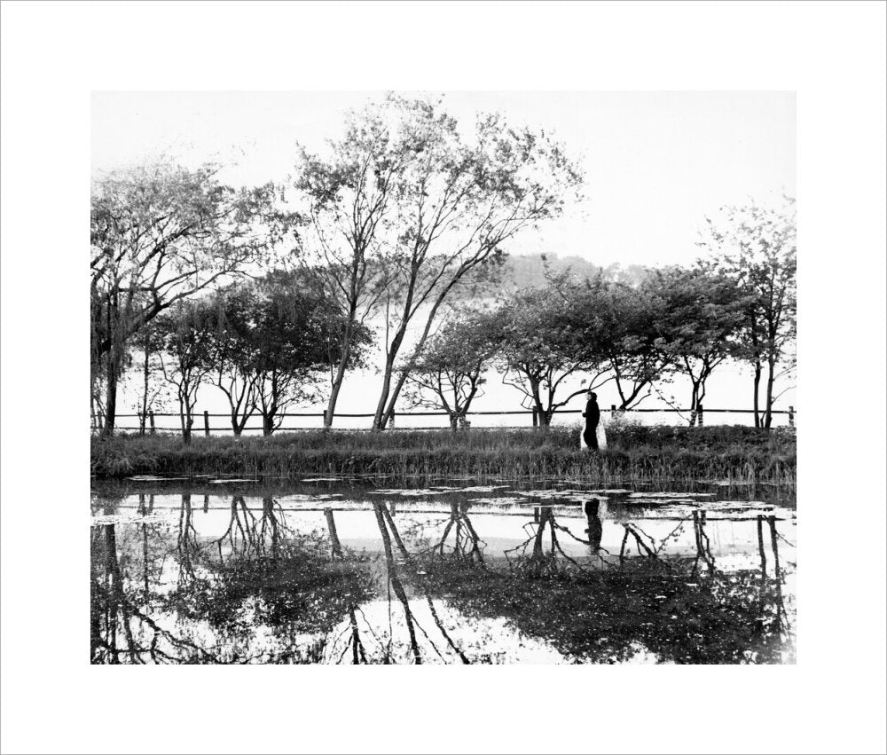 Reflections on the lake, Glyndebourne Glyndebourne Shop