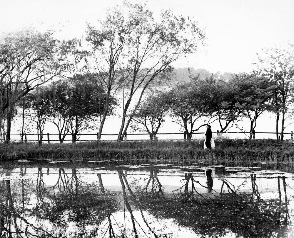 Reflections on the lake, Glyndebourne Glyndebourne Shop