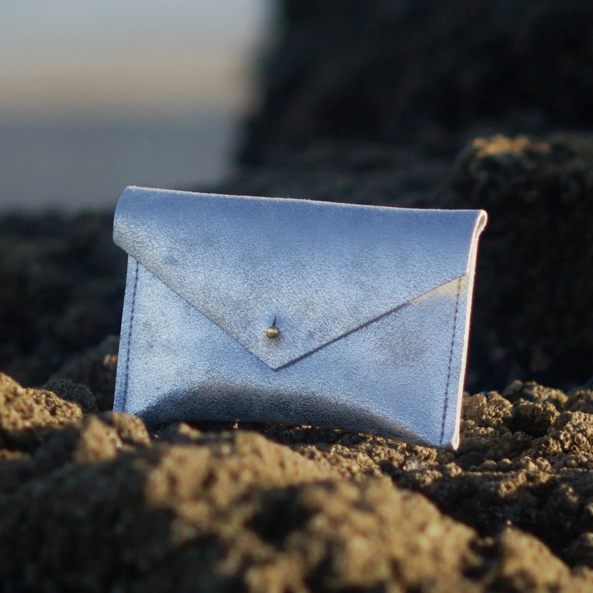 Silver Metallic Everyday Leather Purse
