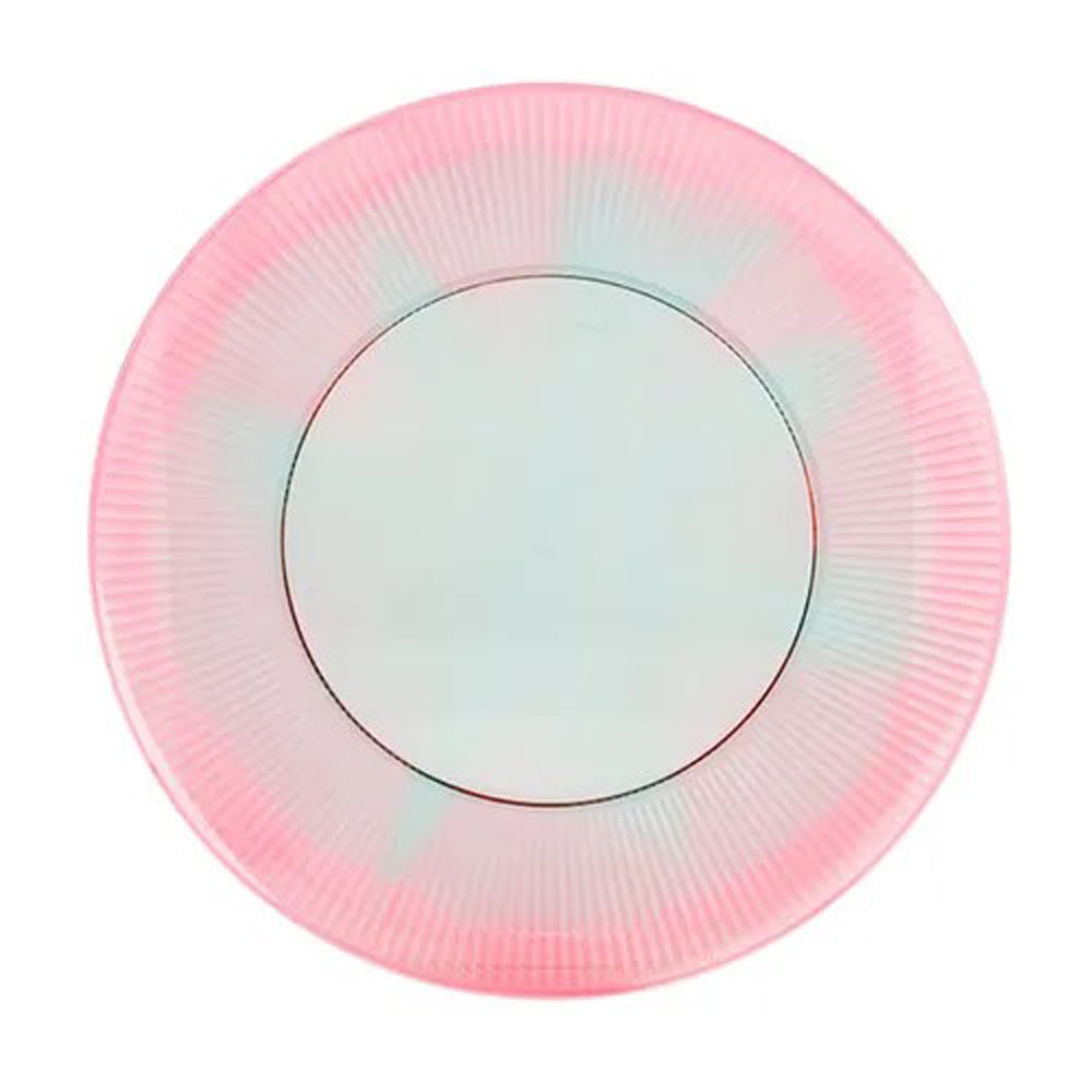Ombre Picnic Plate