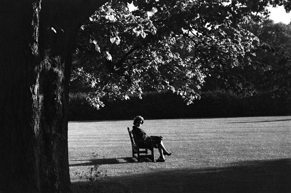 The Gardens at Glyndebourne, 1958 Glyndebourne Shop