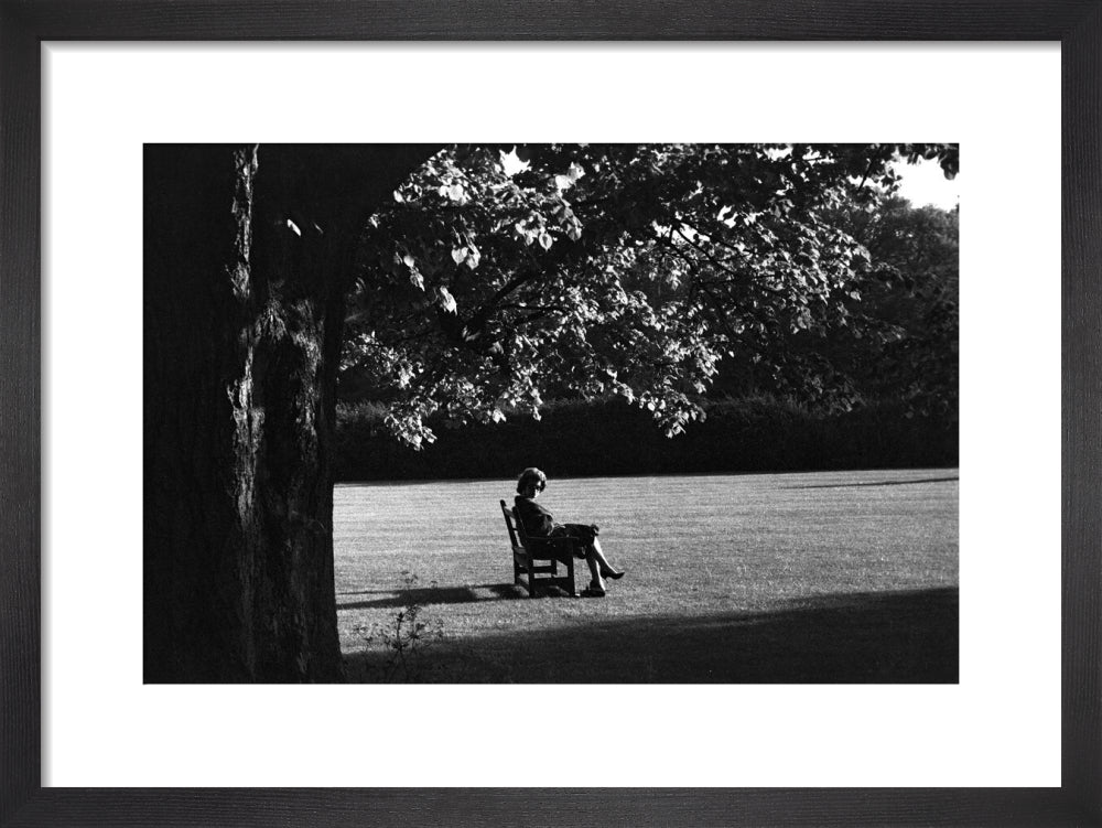 The Gardens at Glyndebourne, 1958 Glyndebourne Shop