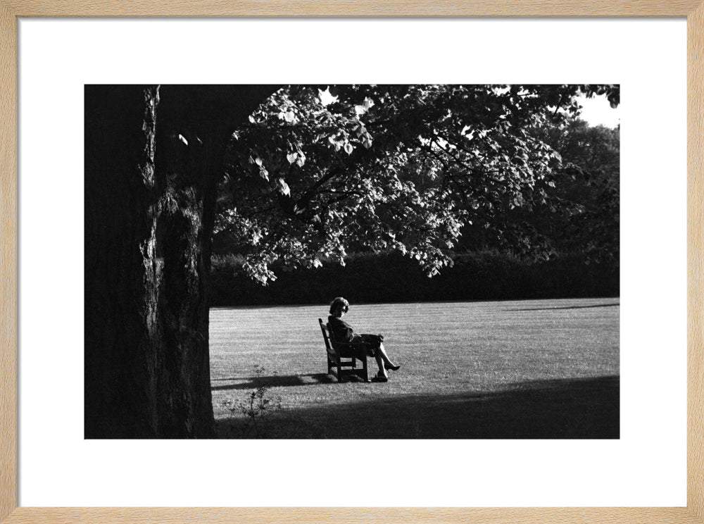 The Gardens at Glyndebourne, 1958 Glyndebourne Shop