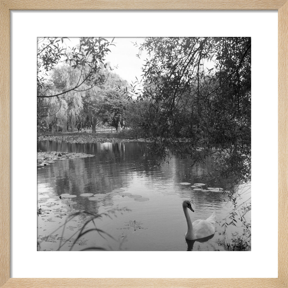 The lake, Glyndebourne, 1957 Glyndebourne Shop