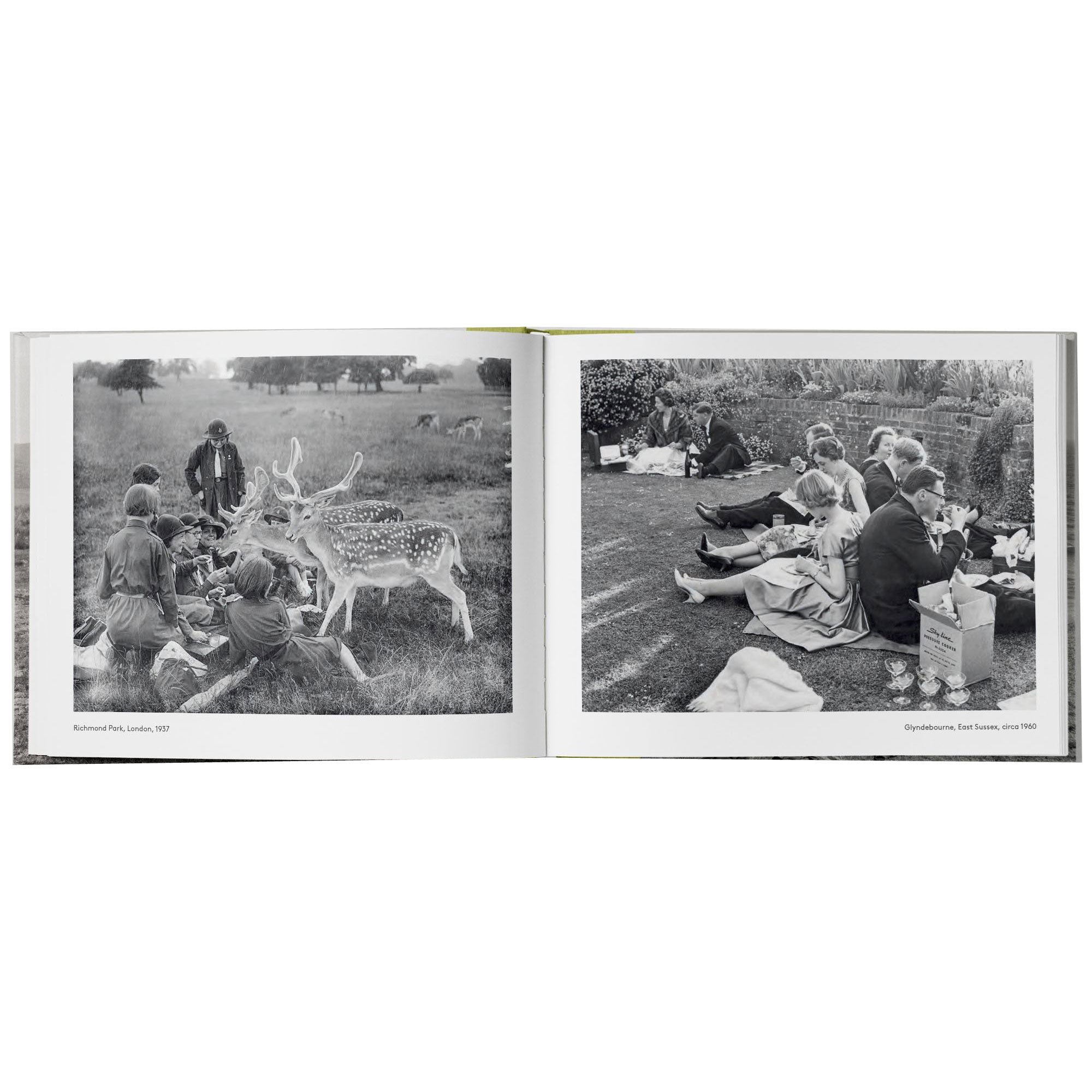 A Very British Picnic