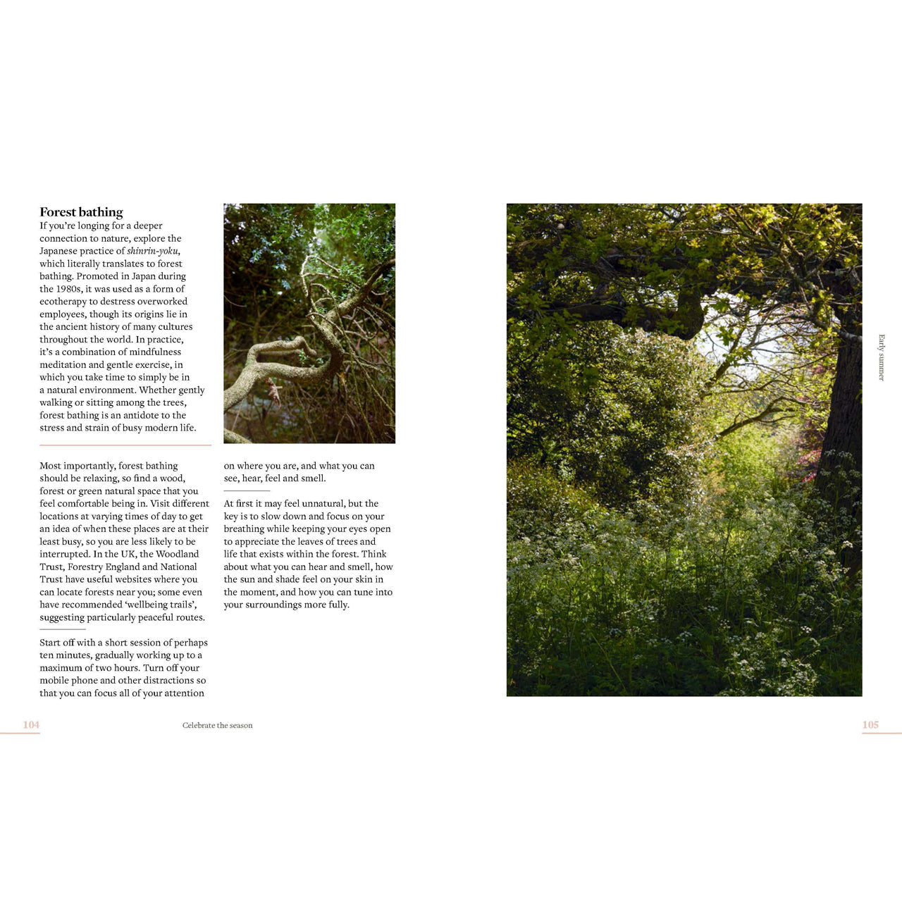 What to Sow, Grow and Do. A Seasonal Garden Guide by Benjamin Pope Glyndebourne Shop